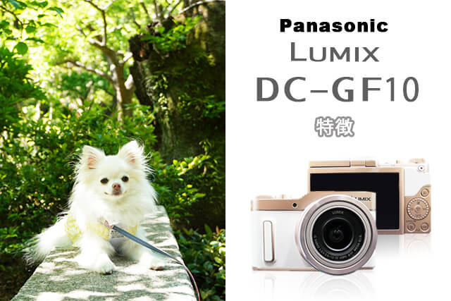 Panasonic LUMIX DC-GF10の特徴