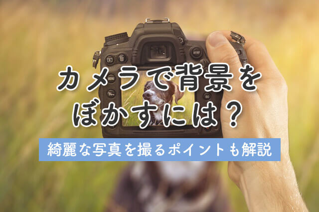 カメラで背景をぼかすには 綺麗な写真を撮るポイントも解説 カメラ買取 買取福ちゃん Fukuchan