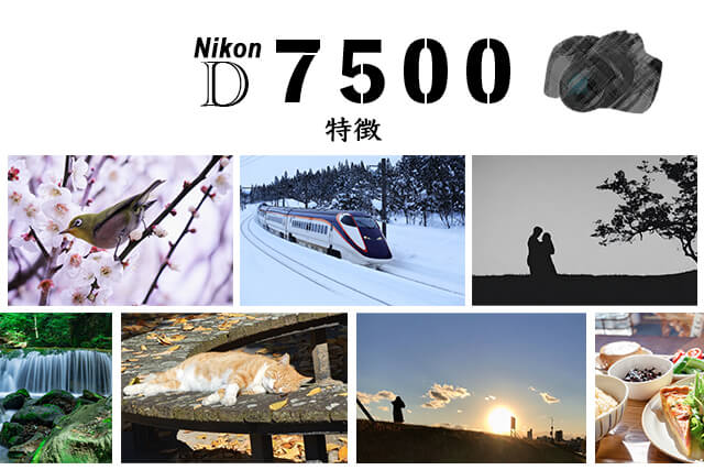 Nikon D7500の特徴