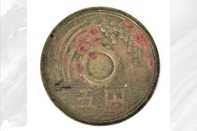 野花 卯月 レア 日本 古銭 5円玉 エラーコイン？ 穴なし 外国硬貨