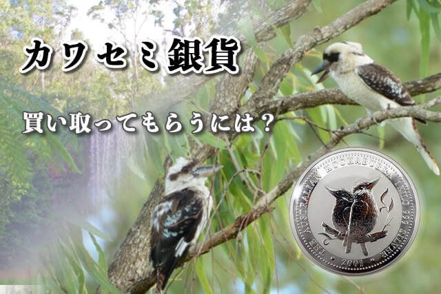 カワセミ銀貨を買い取ってもらうには