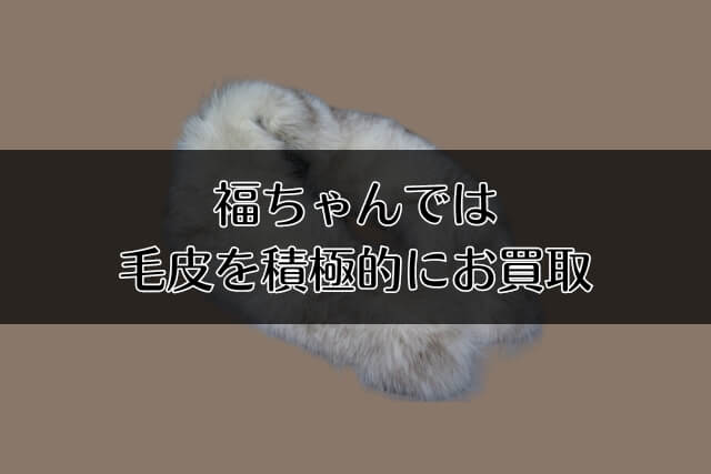 福ちゃんでは毛皮を積極的にお買取