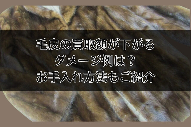 毛皮の買取額が下がるダメージ例は？お手入れ方法もご紹介