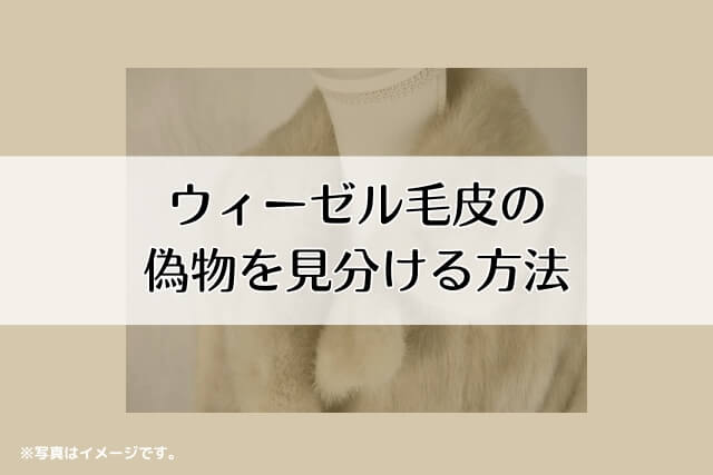 ウィーゼル毛皮の偽物を見分ける方法