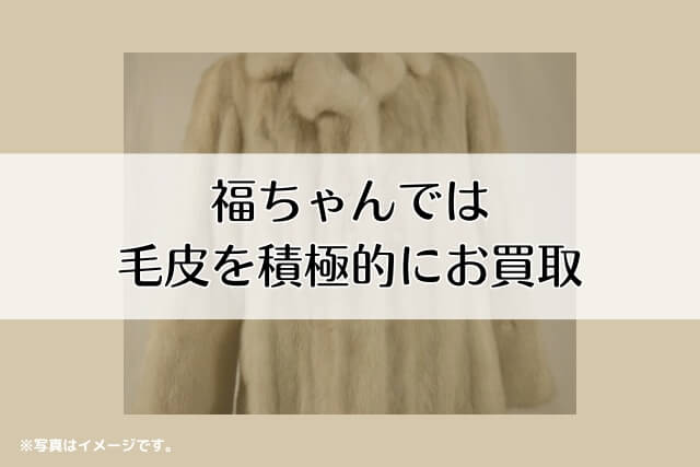 福ちゃんでは毛皮を積極的にお買取