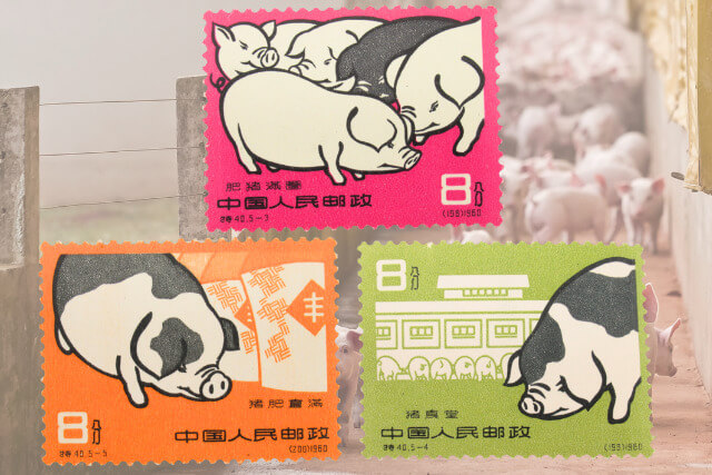 【中国切手】「養豚」の種類や特徴を解説！切手買取市場における価格や価値はどのくらい？