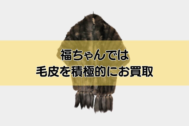 福ちゃんでは毛皮を積極的にお買取