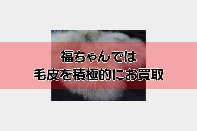 福ちゃんでは毛皮を積極的にお買取