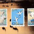 絶滅危惧種を守るメッセージ！1962年中国切手「丹頂づる」の価値と買取を解説