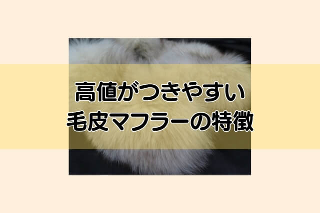 高値がつきやすい毛皮マフラーの特徴