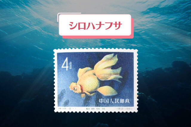 シロハナフサ_観賞魚からアートへ！1960年の中国切手「金魚シリーズ」全デザイン紹介と高価買取事例