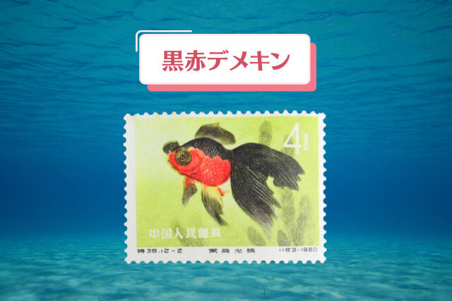 黒赤デメキン_観賞魚からアートへ！1960年の中国切手「金魚シリーズ」全デザイン紹介と高価買取事例