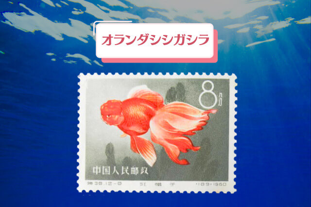 オランダシシガシラ_観賞魚からアートへ！1960年の中国切手「金魚シリーズ」全デザイン紹介と高価買取事例