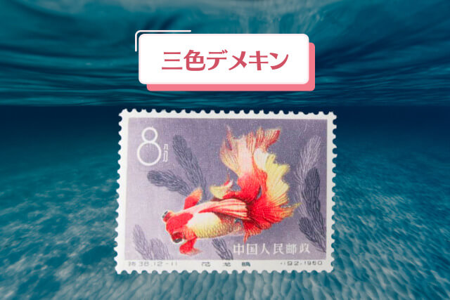 三色デメキン_観賞魚からアートへ！1960年の中国切手「金魚シリーズ」全デザイン紹介と高価買取事例