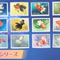 観賞魚からアートへ！1960年の中国切手「金魚シリーズ」全デザイン紹介と高価買取事例