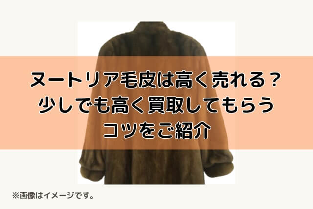 ヌートリア毛皮は高く売れる？少しでも高く買取してもらうコツをご紹介