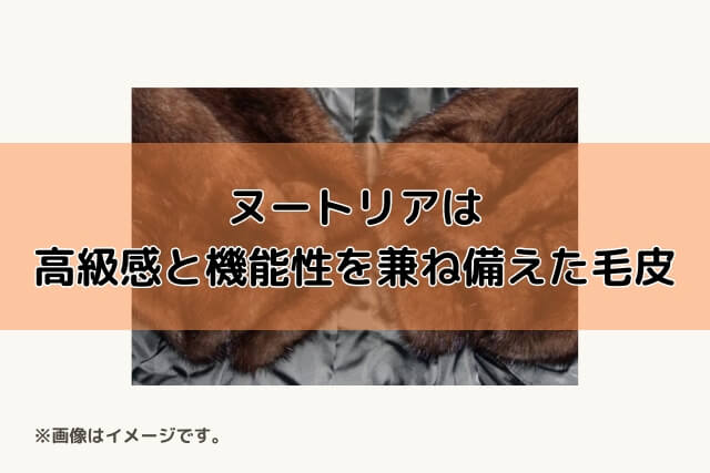 ヌートリアは高級感と機能性を兼ね備えた毛皮