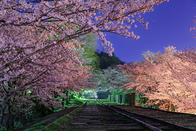 夜の映え写真の編集方法を解説