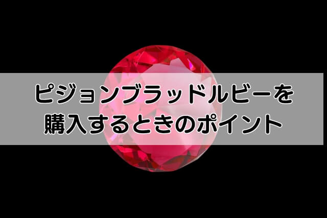 ピジョンブラッドルビーを購入するときのポイント