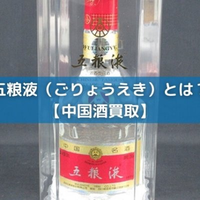 中国酒 白酒 五粮液ごりょうえき 貴重2009年もの 【公式通販】
