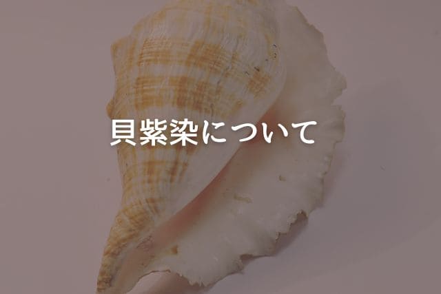 貝紫染について