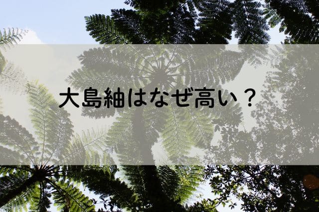 大島紬はなぜ高い?