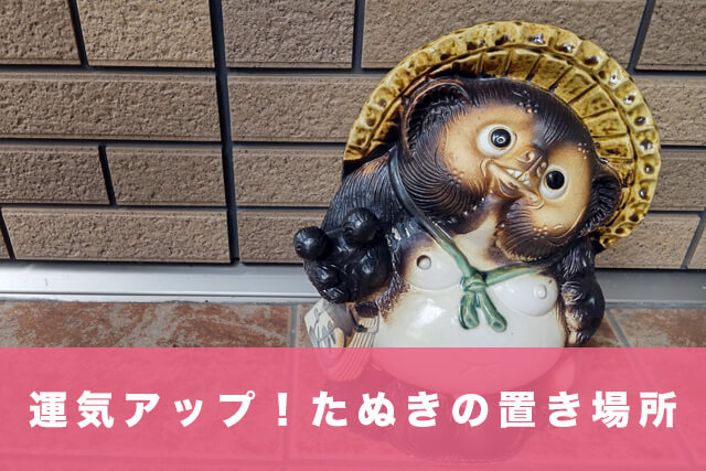 運気アップ!たぬきの置き場所