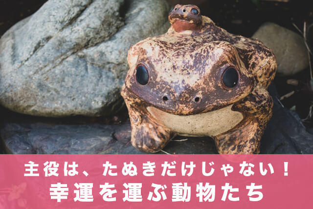 主役は、たぬきだけじゃない!幸運を運ぶ動物たち
