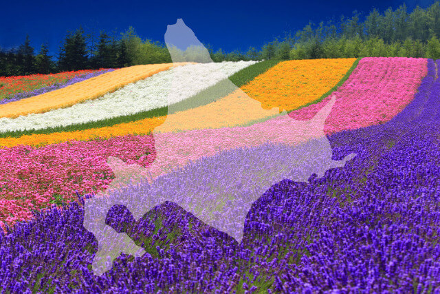 えぞ織の買取相場はどのくらい？希少な工芸品の特徴と価値を解説