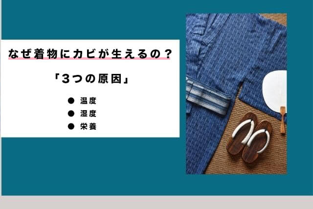 なぜ着物にカビが生えるの?3つの原因
