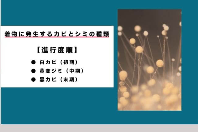 着物のカビは主に3種類