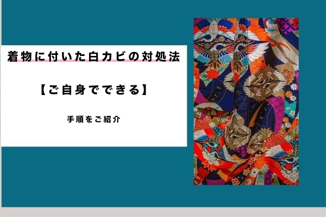 【ご自身でできる】着物に付いた白カビの対処法