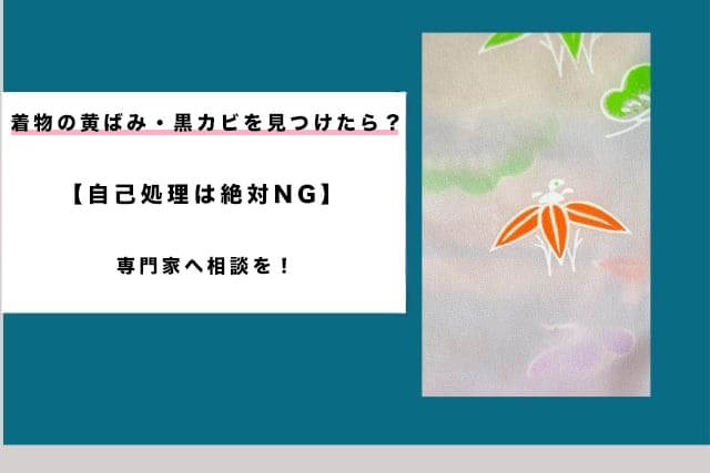 着物の黄ばみ・黒カビを見つけたら?【自己処理は絶対NG】専門家へ相談を!