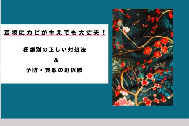 着物にカビが生えても大丈夫！種類別の正しい対処法と予防・買取の選択肢