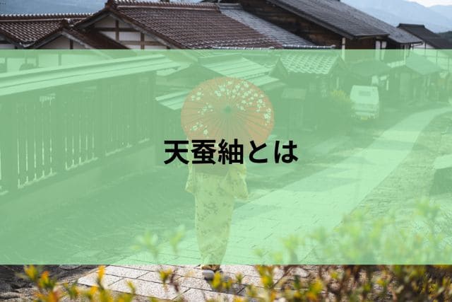 天蚕紬とは
