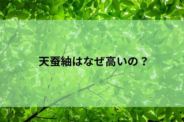 天蚕紬はなぜ高いのか？