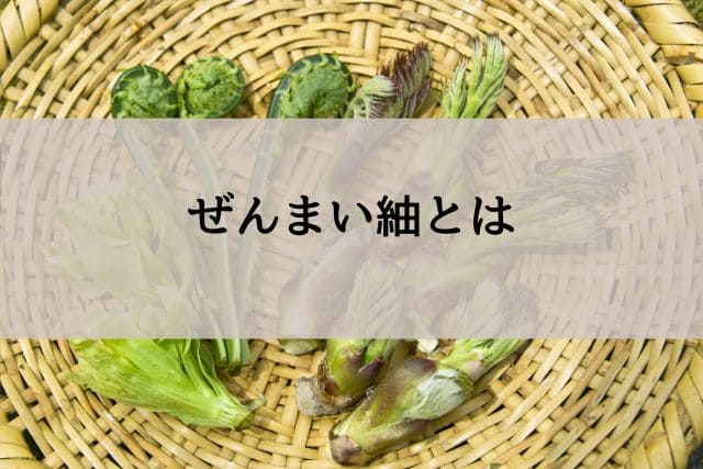 ぜんまい紬とは