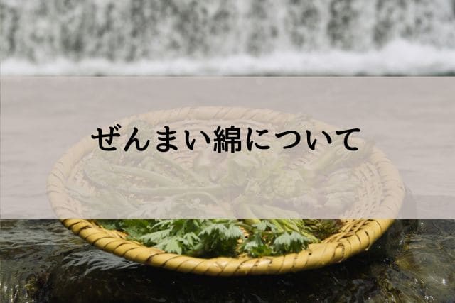ぜんまい綿について