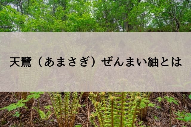 天鷺(あまさぎ)ぜんまい紬とは