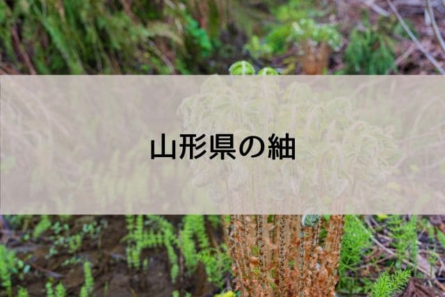 山形県の紬