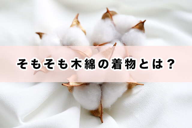 そもそも木綿の着物とは?