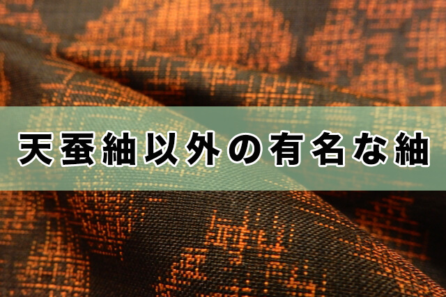 天蚕紬以外の有名な紬