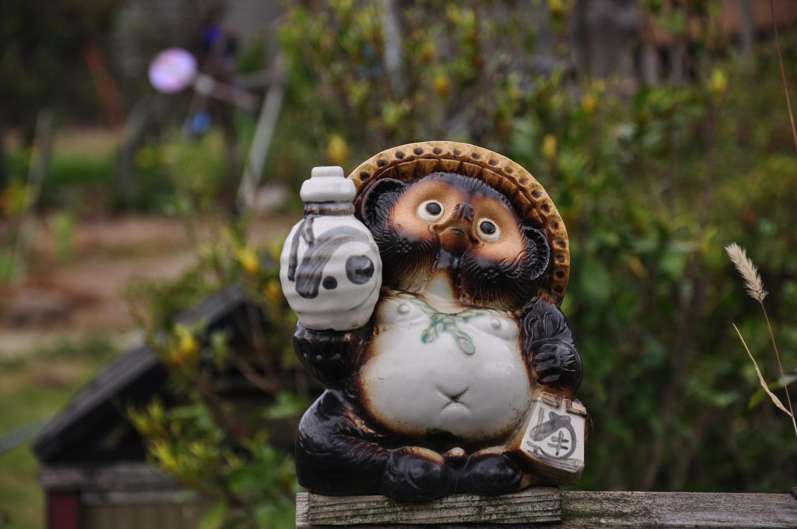 たぬきの置物の意味と効果を解説！信楽焼が縁起物として愛される理由と価値