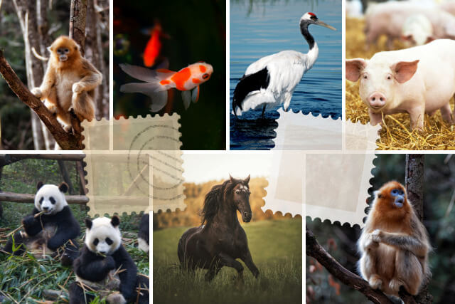 中国切手のなかでもとくに人気が高い「動物切手」を解説