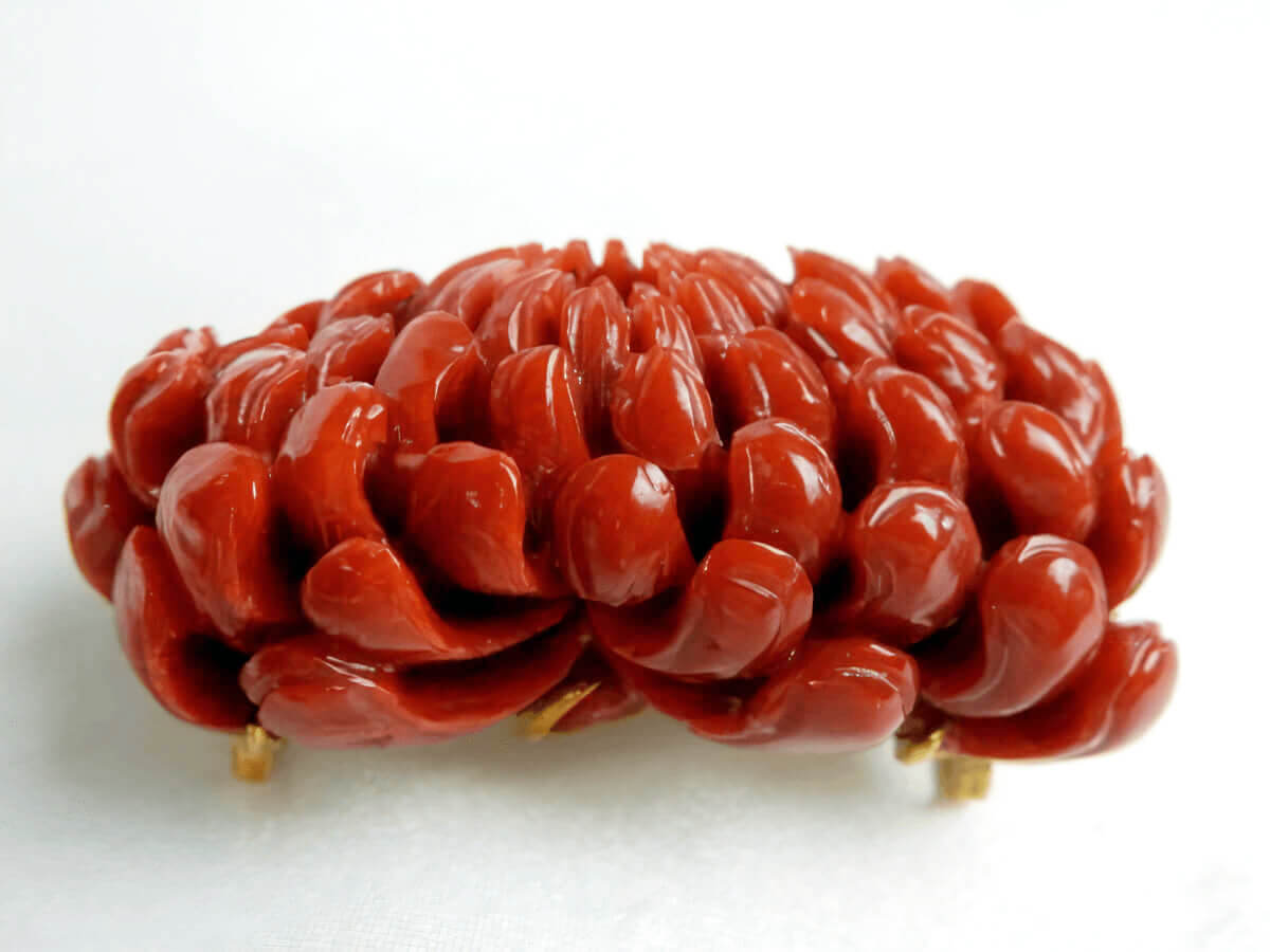 血赤珊瑚 買取実績|紹介写真