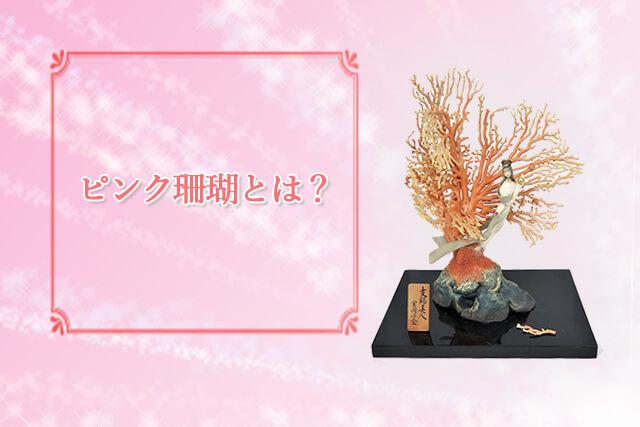 ピンク珊瑚の原木