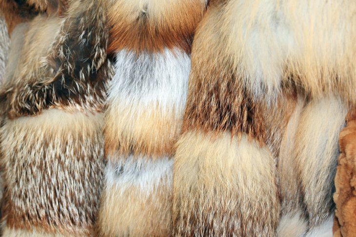 さまざまな種類の毛皮が並んでいる様子
