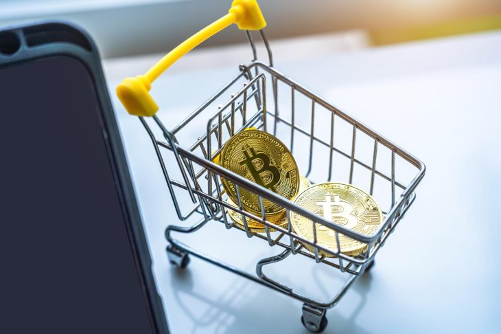 小さなショッピングカートに入った2枚のコイン