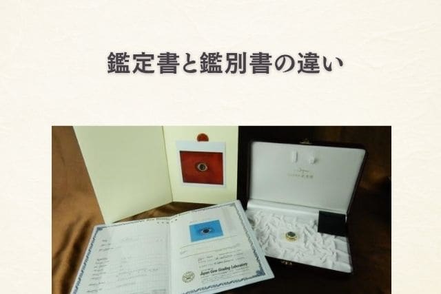 鑑定書と鑑別書の違い