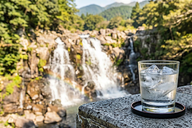 焼酎「佐藤」の買取相場は？種類別の価値や高額買取につなげる方法などを紹介